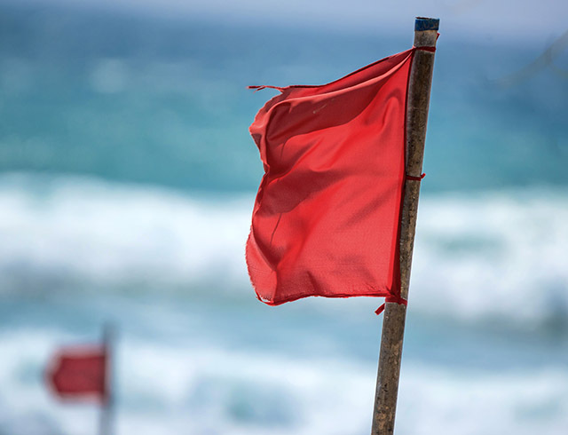 Hurricane Flag