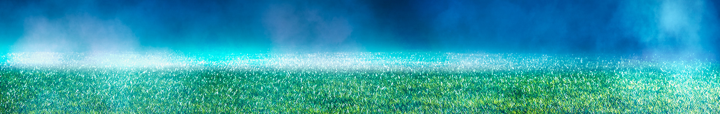 { Banner Image }