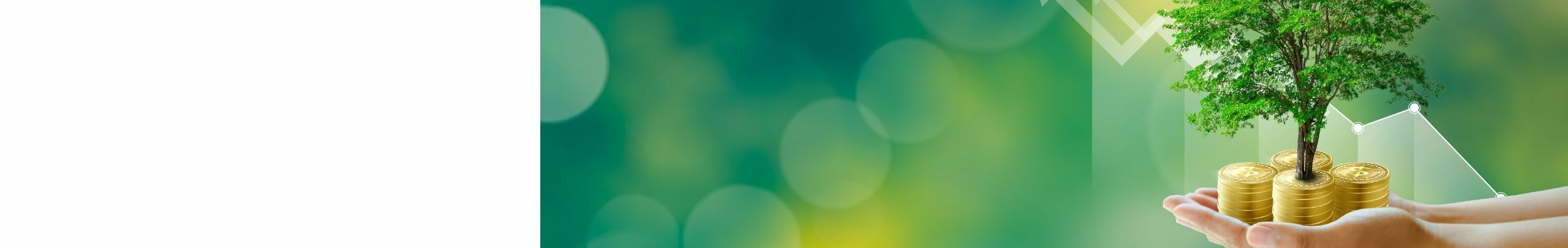 { Banner Image }
