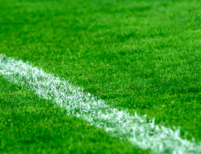close up of field turf