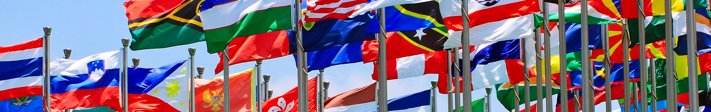 International Flags waving